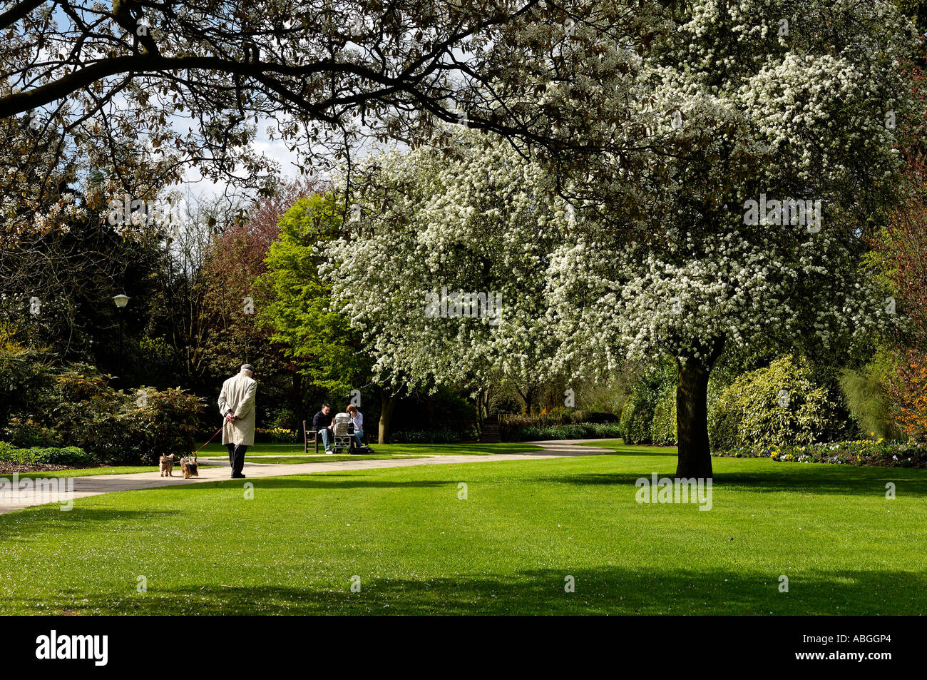 'Ages of man' in the park at spring-time Stock Photo