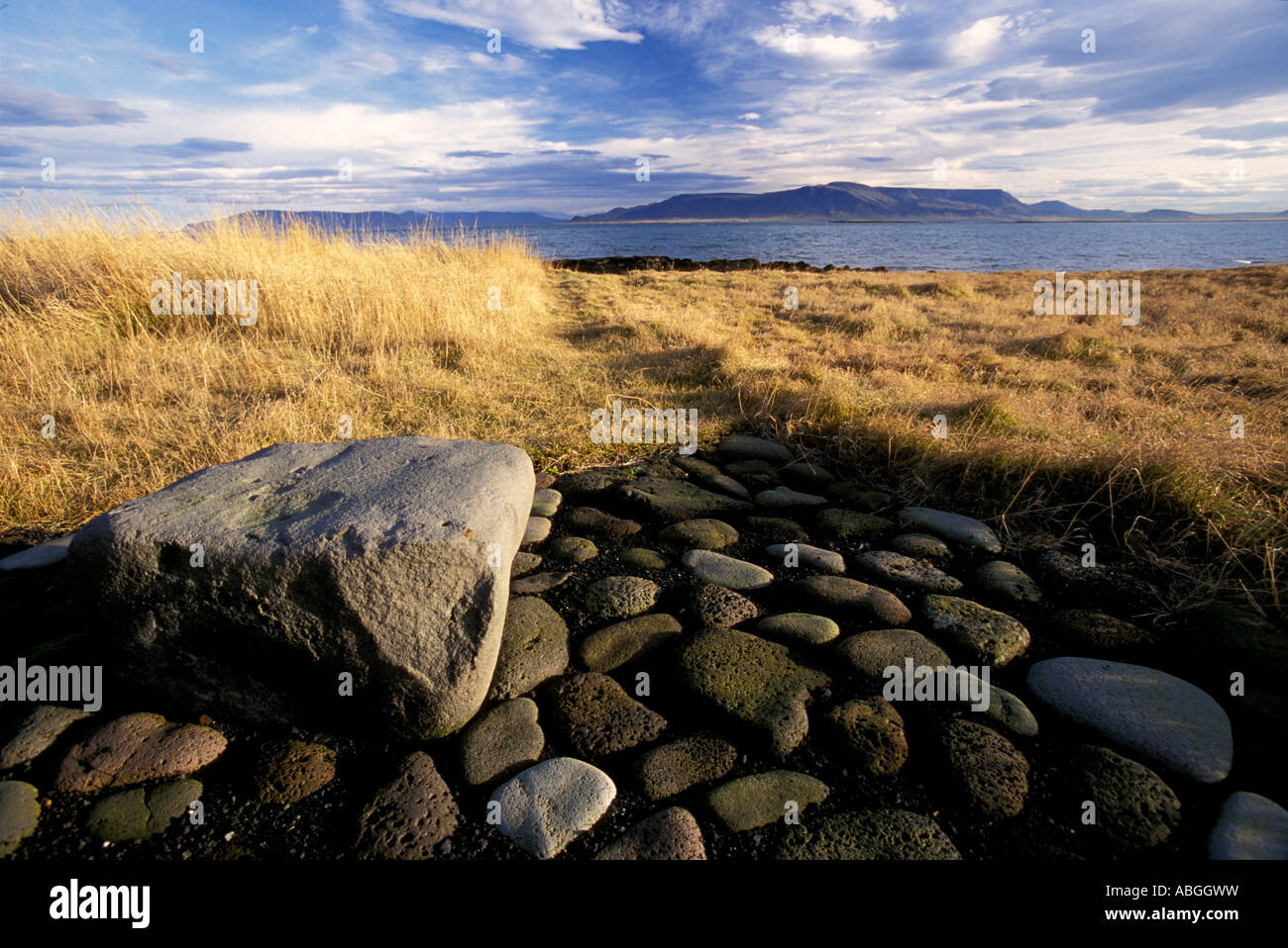 Reykjavík Iceland Stones and grassy field along Faxaflói Bay Stock Photo