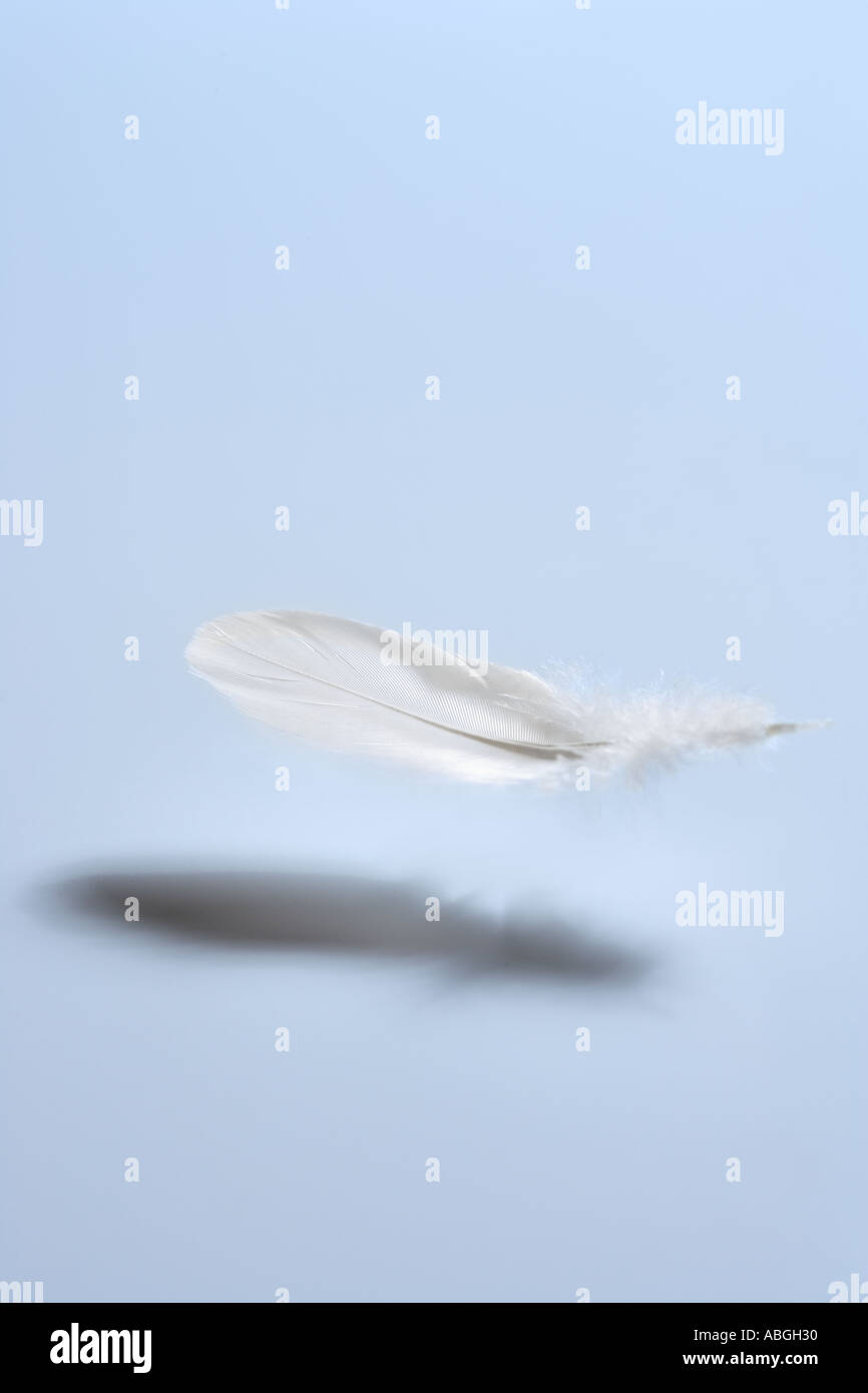 Falling feather hires stock photography and images Alamy