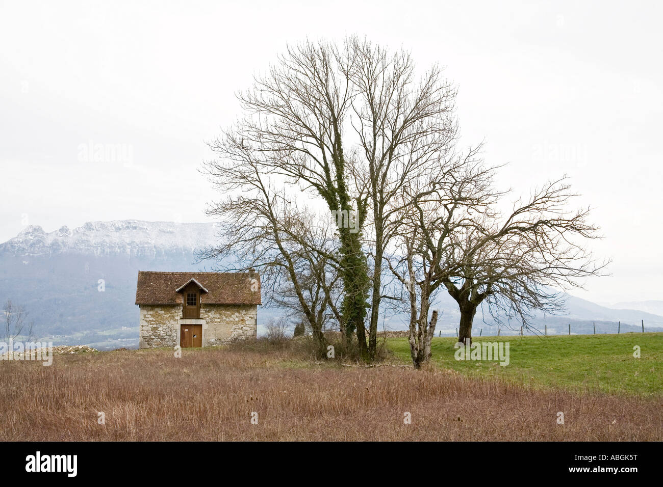 Remote cottage with tree in Savoie, France Stock Photo Alamy