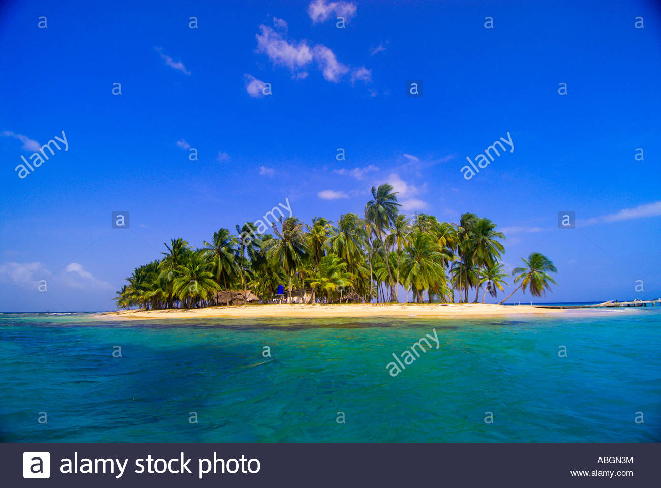 Palm Trees On Pelican Island A K A Icotupo Island San Blas Islands