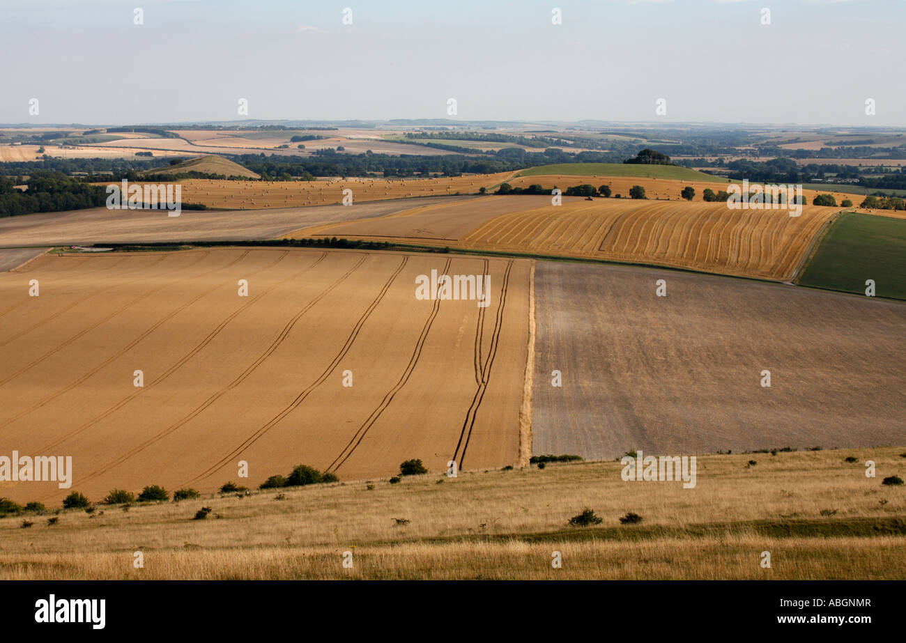 Milk hill in wiltshire hires stock photography and images Alamy