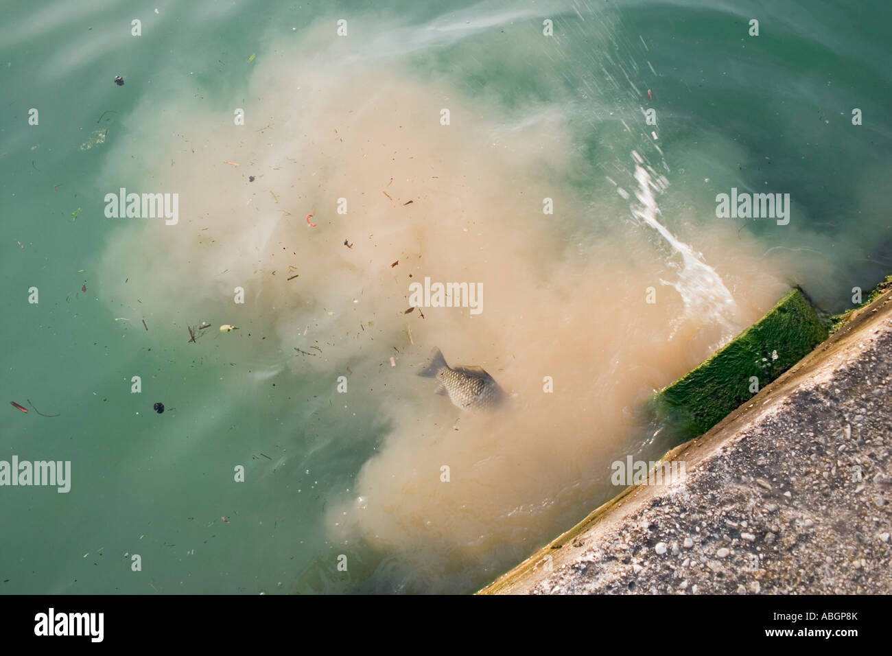 Sewage flows into lake Lago di Garda Italy Stock Photo