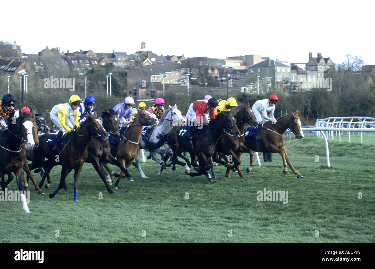 Flat racing horse hires stock photography and images Alamy