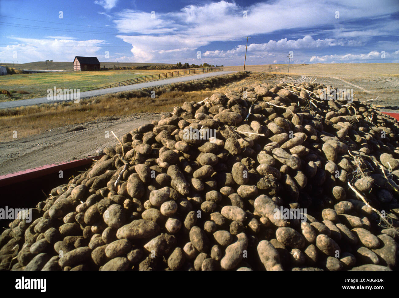 Idaho potato house hires stock photography and images Alamy