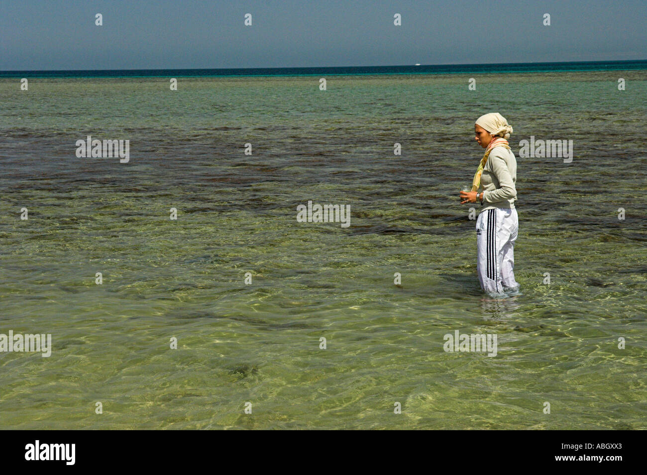 A female student on biology field course from Cairo University studying marine life in the Red Sea Hurghada Egypt Stock Photo