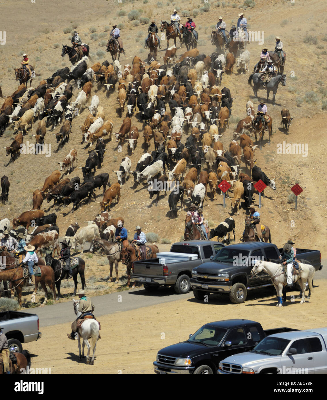 Cattle Cars Stock Photo Alamy