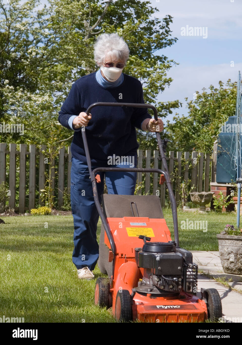 Senior woman mowing household domestic garden lawn with a lawnmower whilst wearing a face dust mask to prevent hay fever. Britain UK Stock Photo