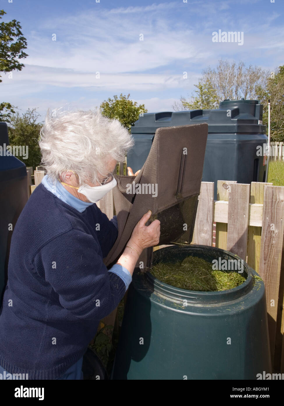 Grey haired lady putting domestic garden grass cuttings into a