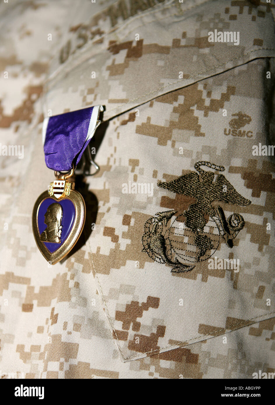 A soldier wears his Purple Heart on his digital camouflage minutes after being awarded the medal. Stock Photo