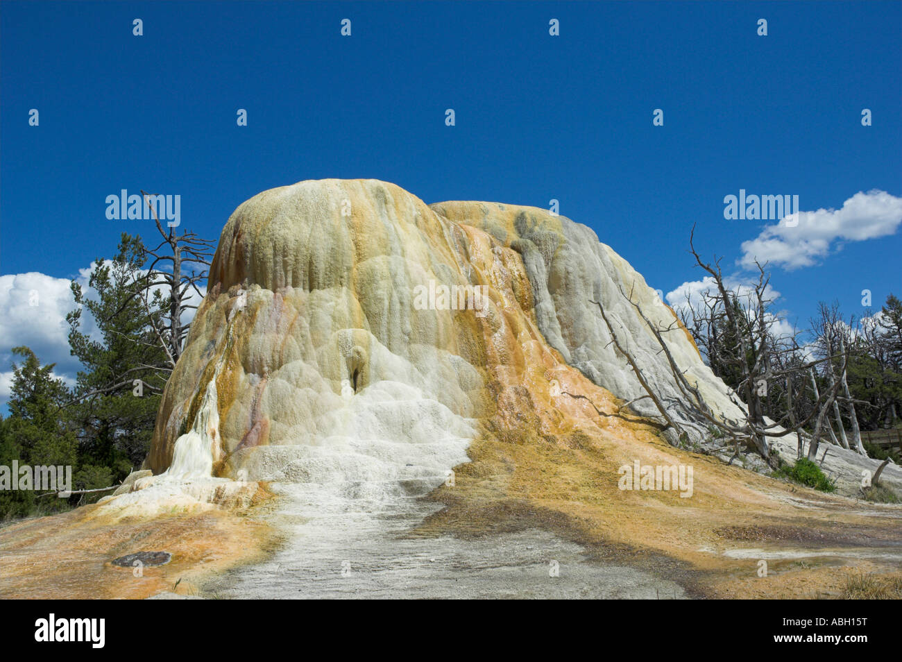 Orange spring mound Mammoth hot Springs Yellowstone National Park Wyoming USA United States of America Stock Photo