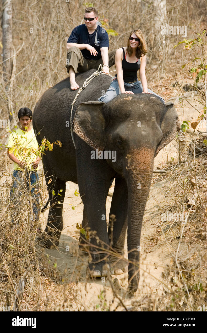 Tourists enjoying an elephant ride hi-res stock photography and images ...