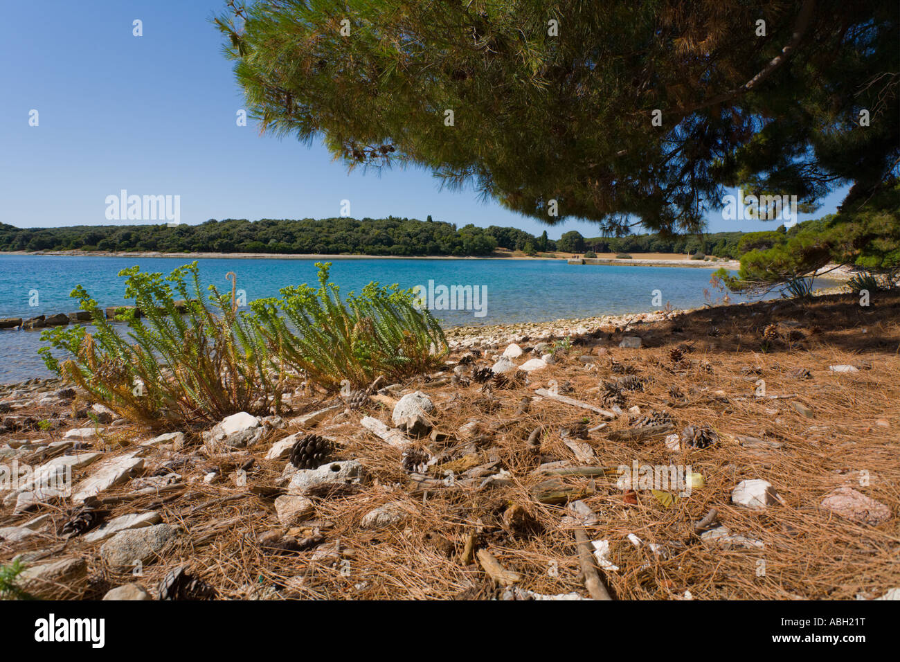 Verige site on Brioni islands, Veliki Brijun, Croatia Stock Photo