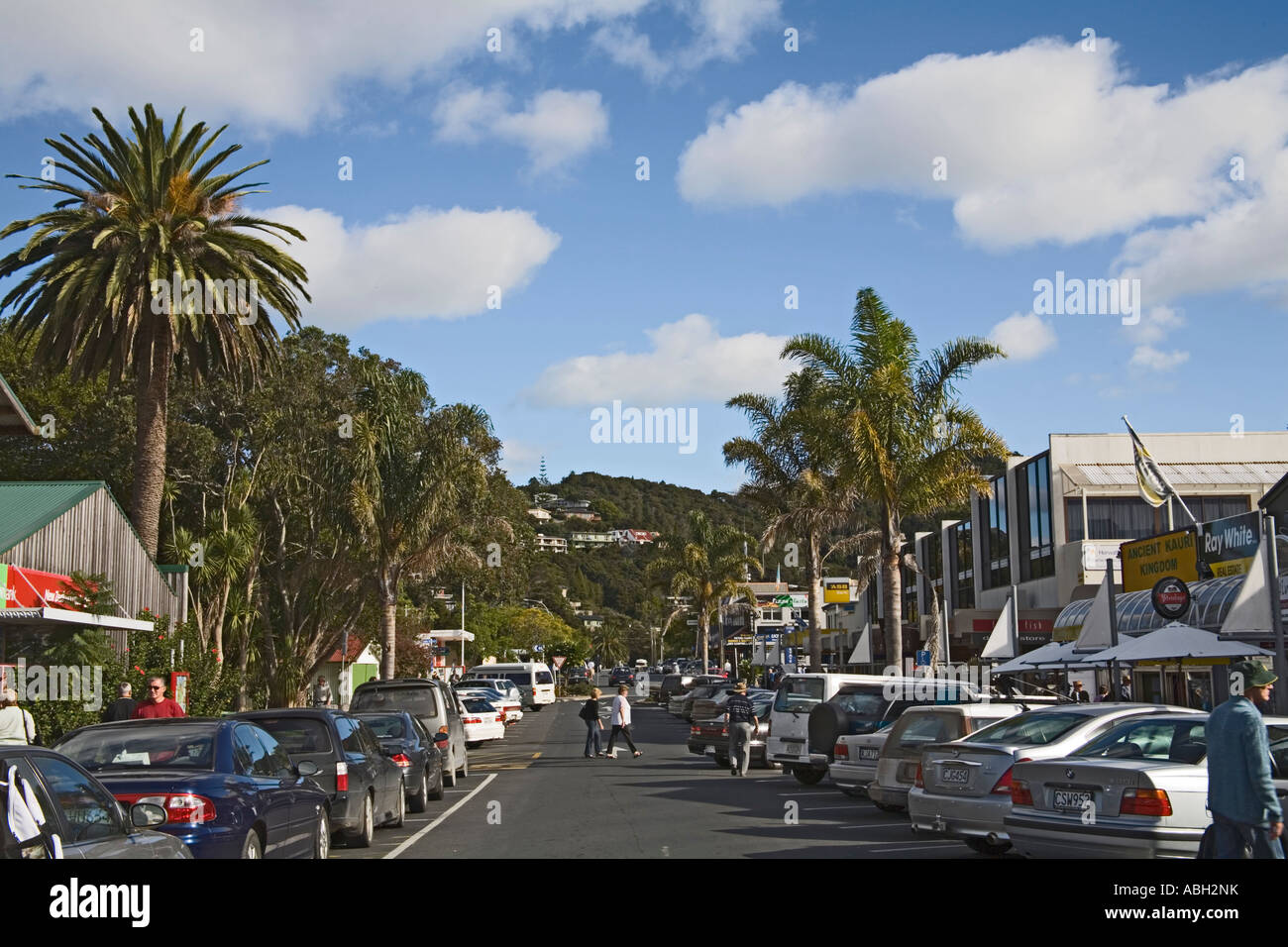 PAIHIA BAY OF ISLANDS NORTH ISLAND NEW ZEALAND May Looking up one of