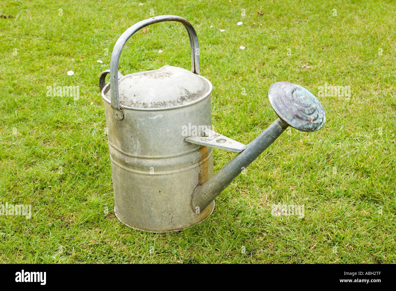 galvanised watering can Stock Photo