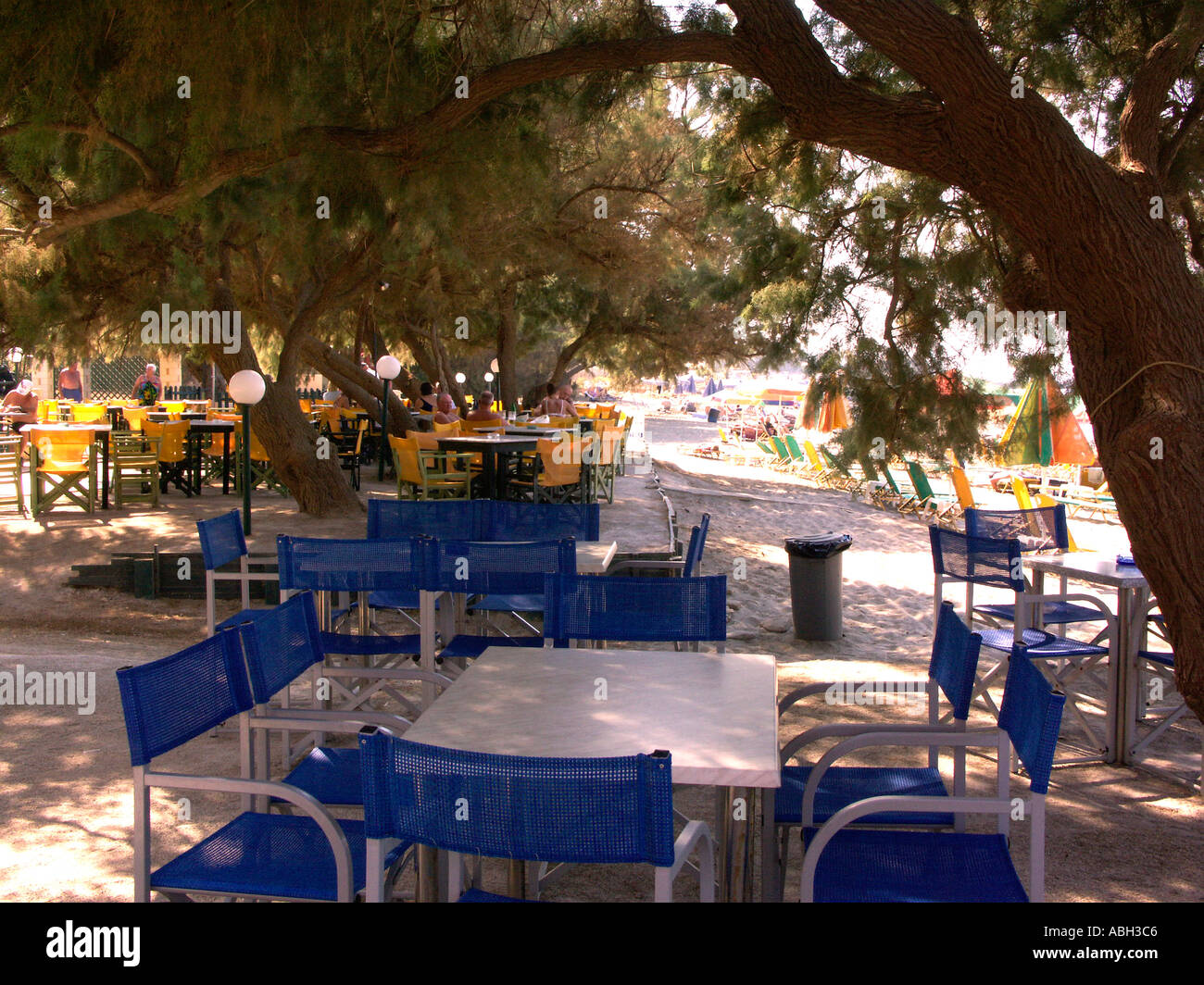Trees and Sunshine Taverna Stalos Crete Stock Photo