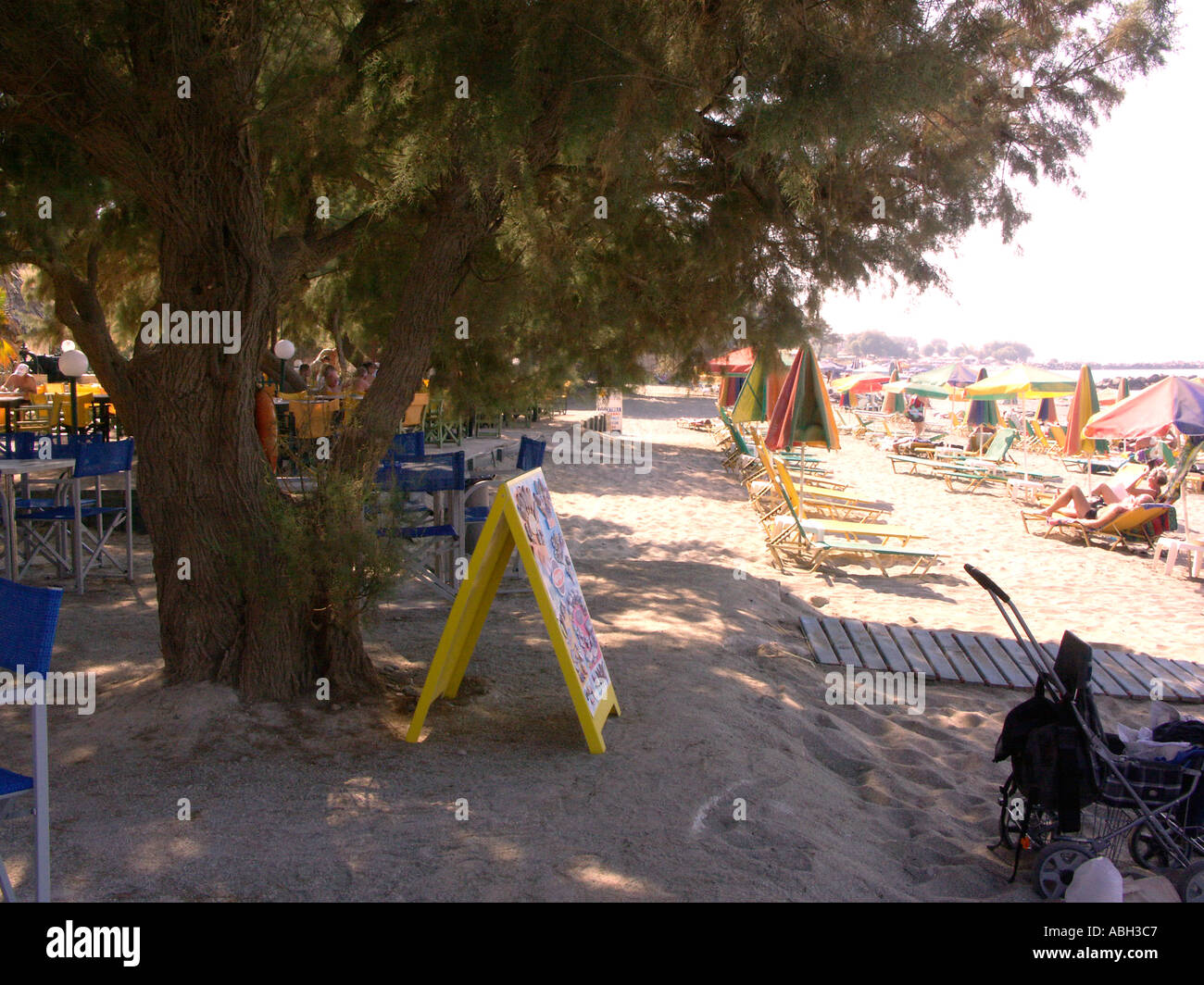 Trees and Beach Stalos Crete Stock Photo