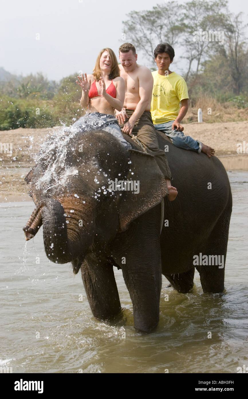 Elephant splashes and plays in river surprising women in bikini top on trek  near Pai north Thailand Stock Photo - Alamy