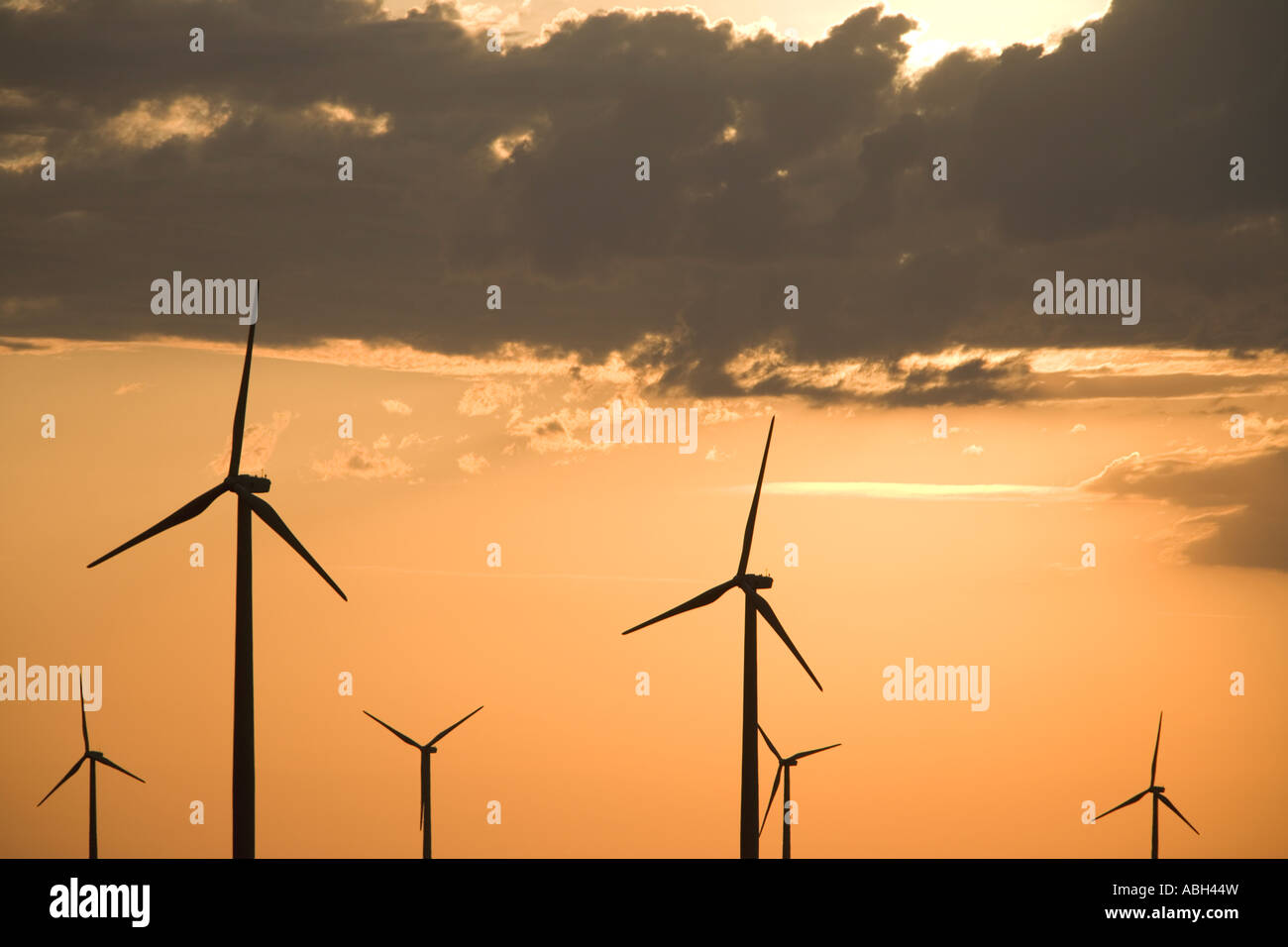 Wind Turbines with a sunset sky, Oregon Stock Photo