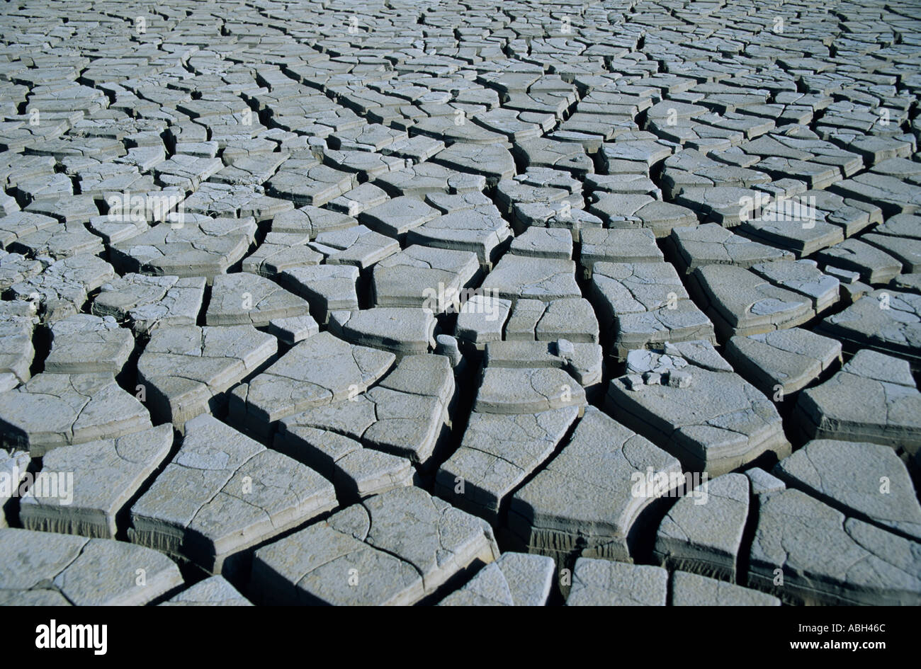 Effects of drought cracked mud on dried up lake bed UK summer Stock Photo