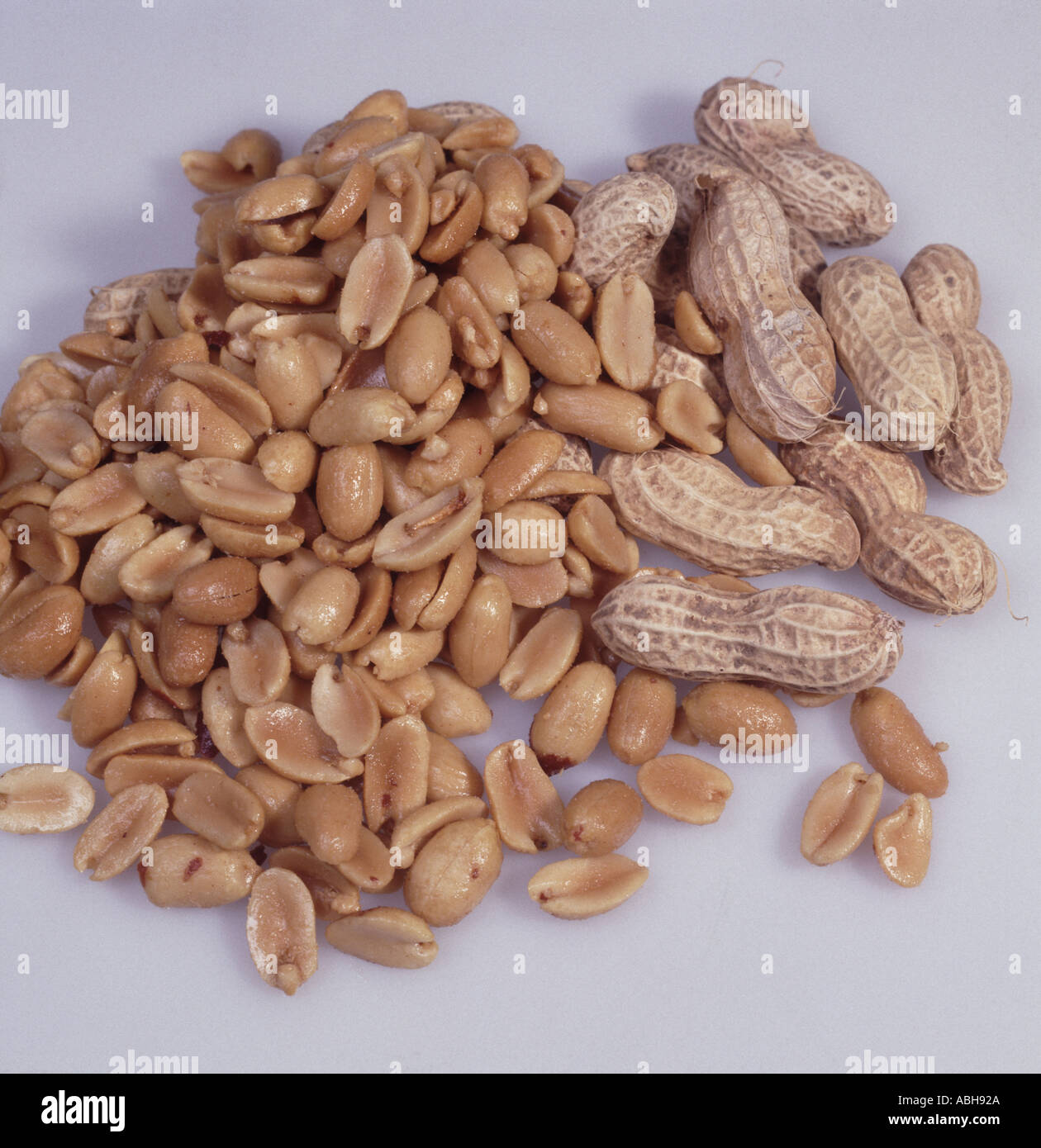 Peanuts salted and peanuts in shells on a white background Stock Photo
