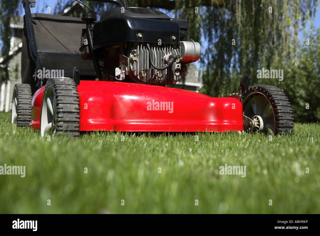 Lawnmower mowing grass Stock Photo Alamy