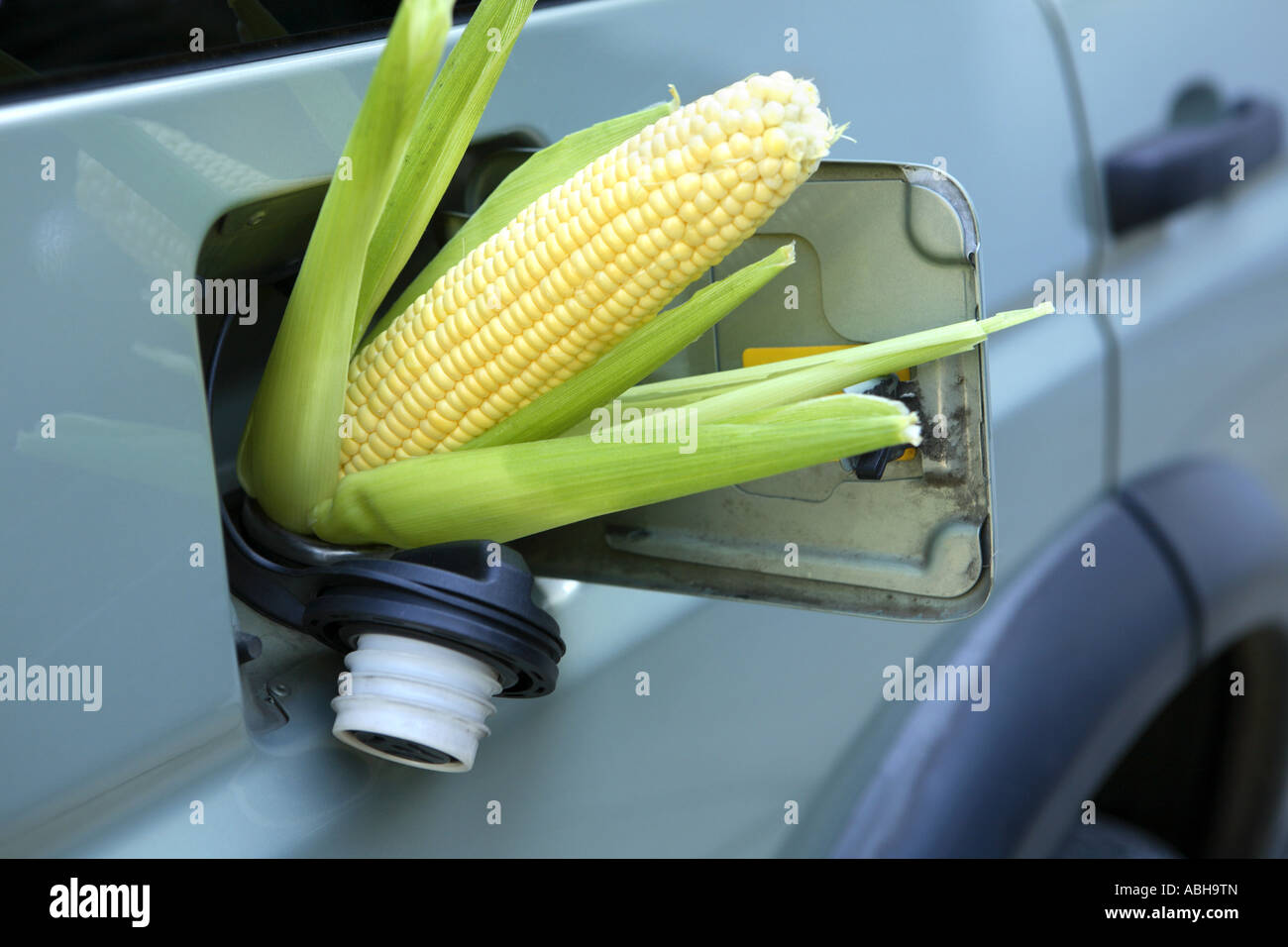 Corn sticking out of gas tank Stock Photo Alamy
