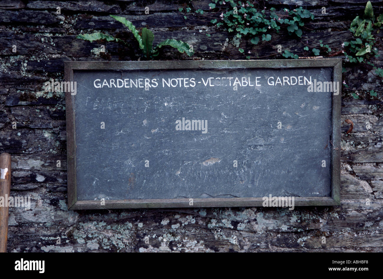 slate blackboard at the Lost Gardens of Heligan in Cornwall England Stock Photo