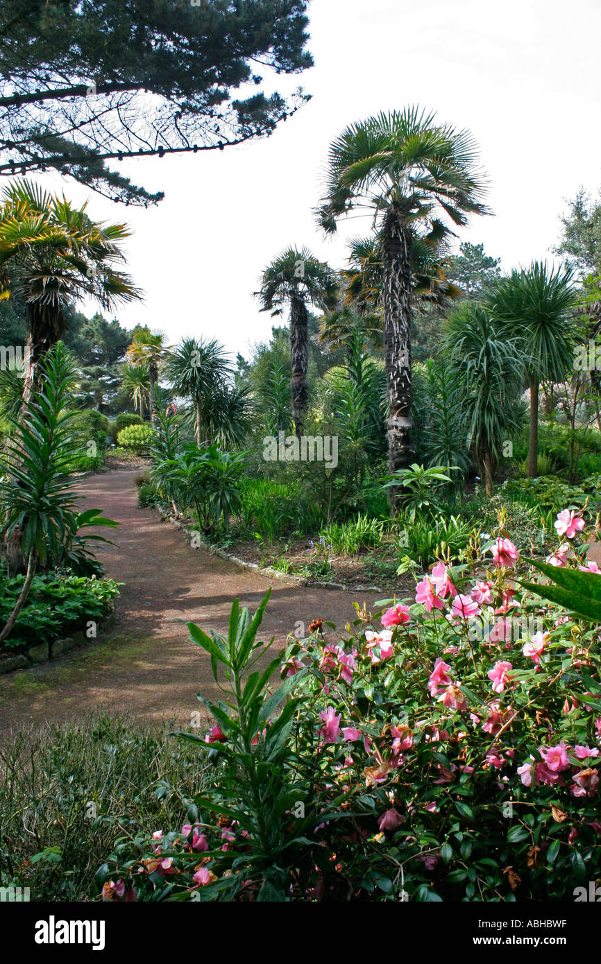 Alum chine tropical gardens hires stock photography and images Alamy