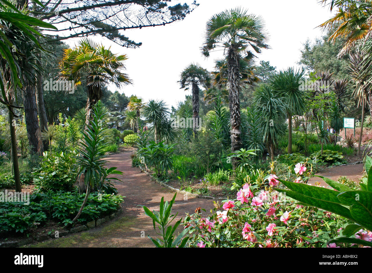 Alum Chine High Resolution Stock Photography and Images Alamy