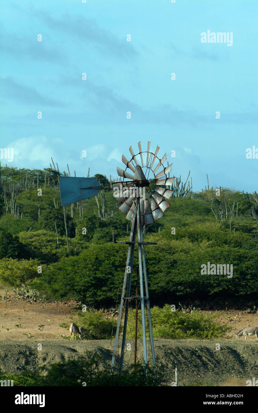 Windmill to power a water pump in the desert in Bonaire Stock Photo Alamy