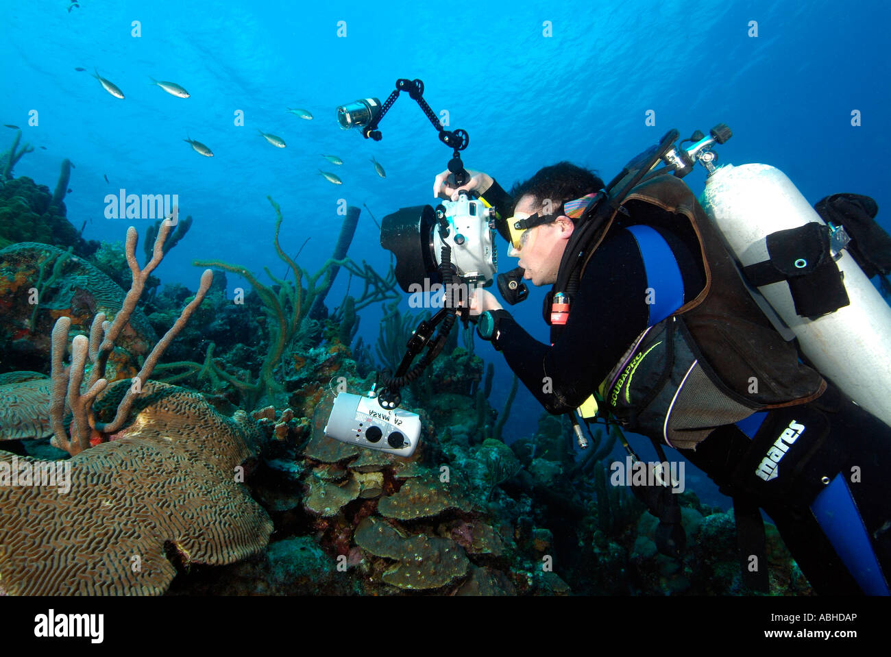 Scuba diver photographer taking a picture in Bonaire Stock Photo Alamy
