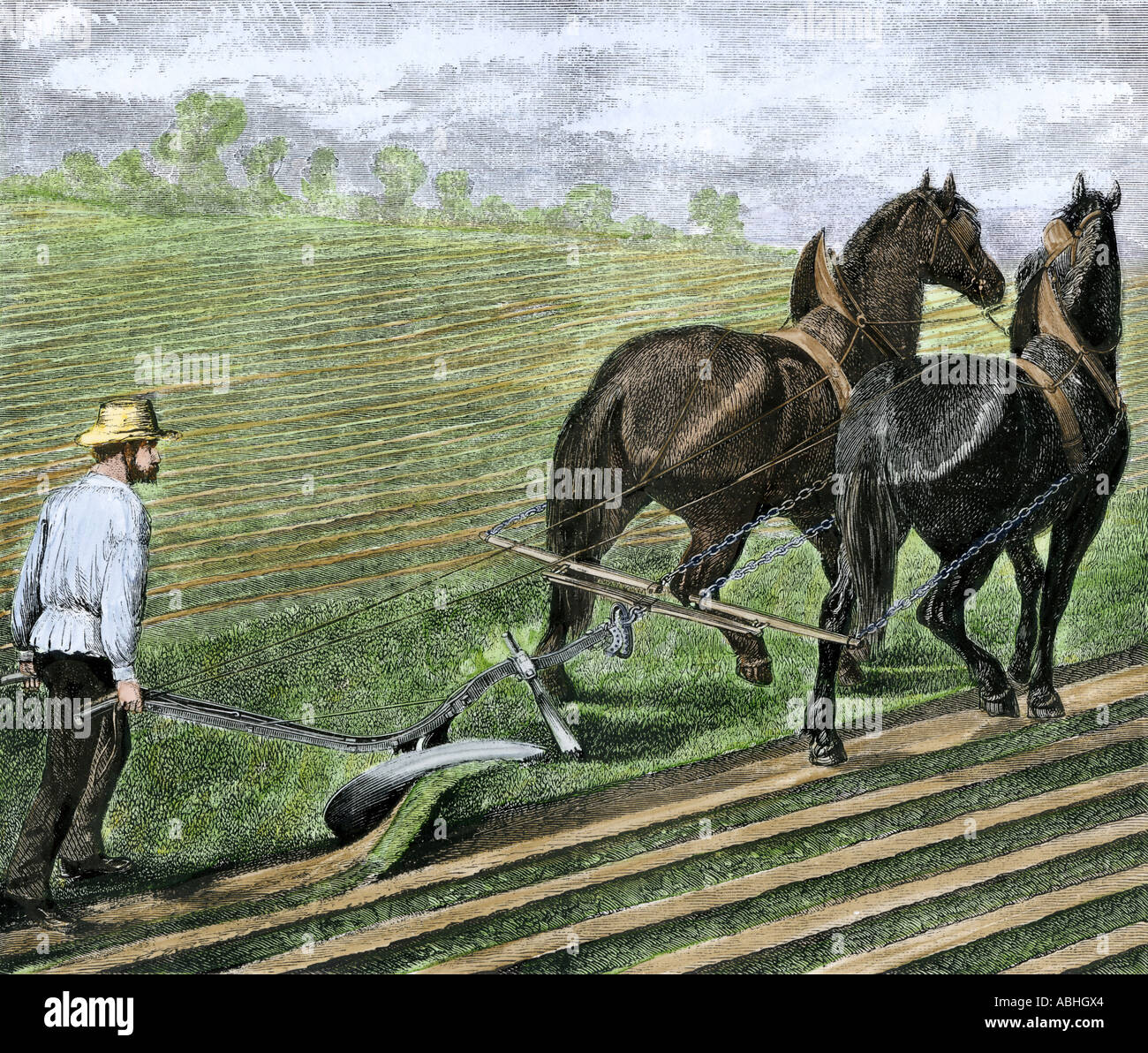 Farmer plowing sod with a team of horses 1800s. Hand-colored woodcut Stock Photo