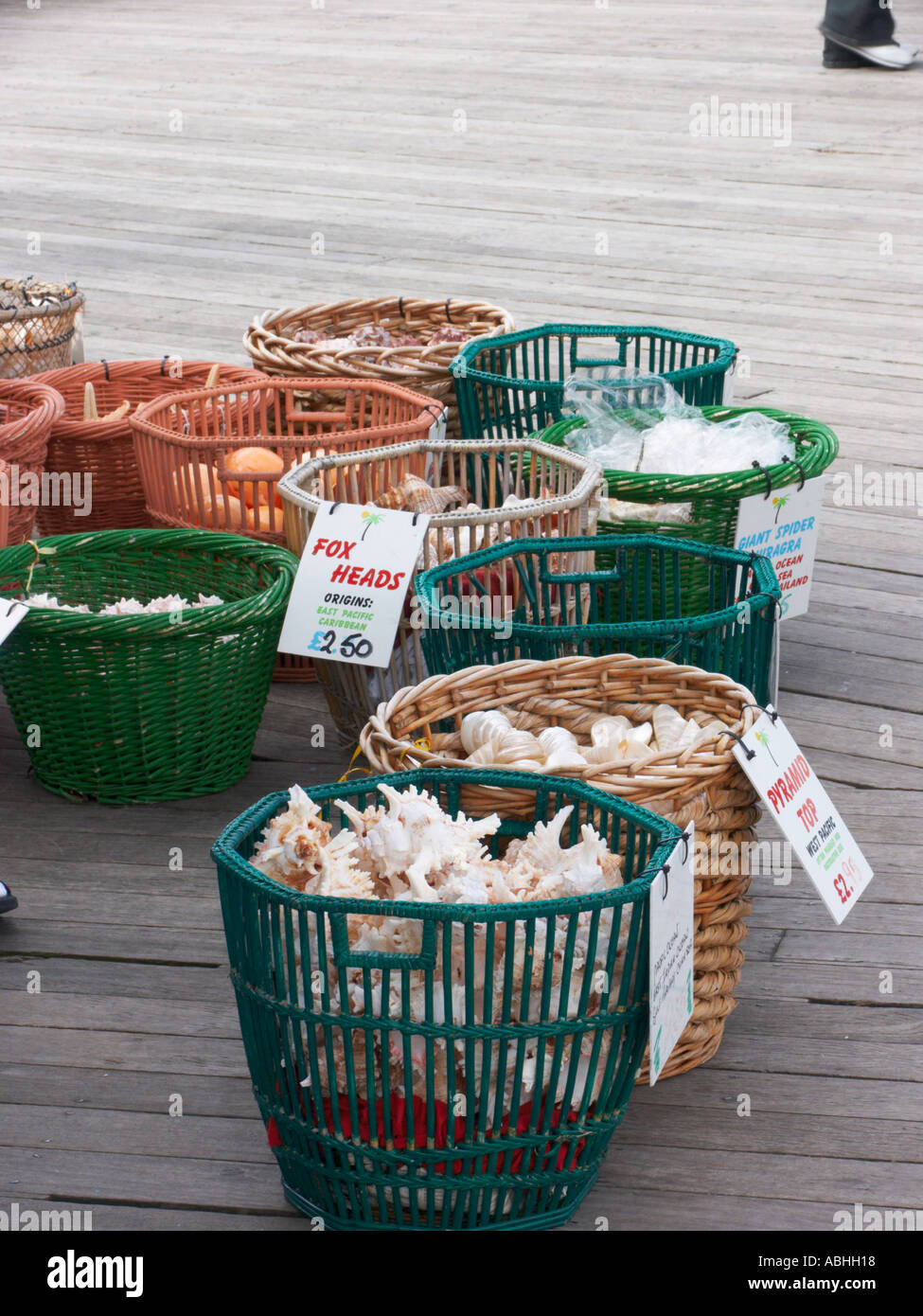 baskets of exotic shells and sea creatures for sale on Llandudno pier Stock Photo