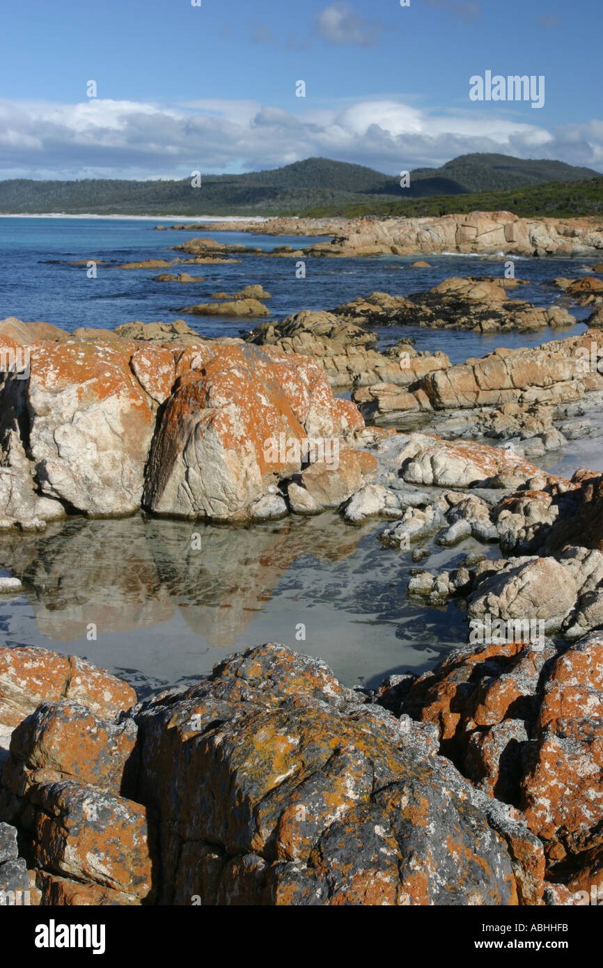 Red Rocks Friendly Beaches Peninsular Tasmania Stock Photo