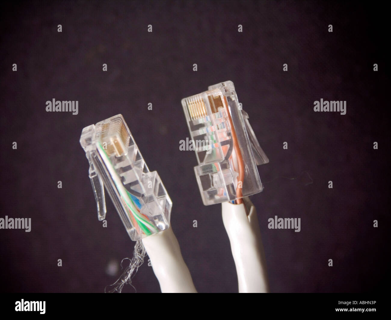 pc rj 45 plug cable close up on a dark background Stock Photo
