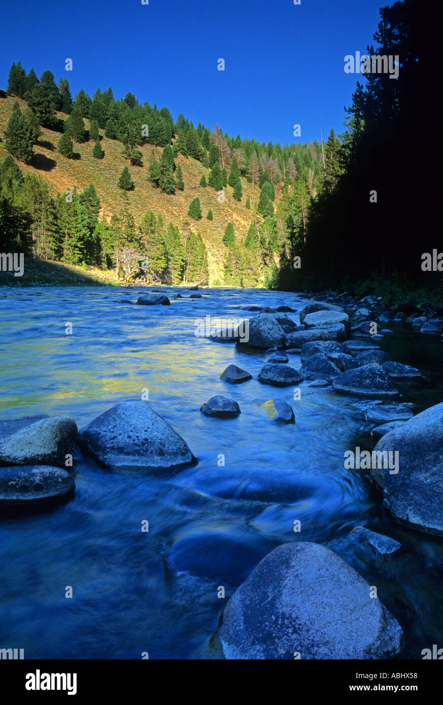 Salmon River Valley in the Sawtooth National Recreation Area Idaho USA Stock Photo