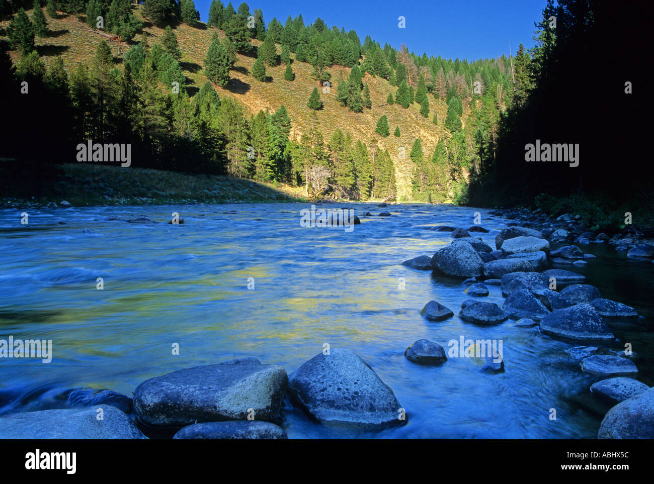 Salmon River Valley in the Sawtooth National Recreation Area Idaho USA Stock Photo