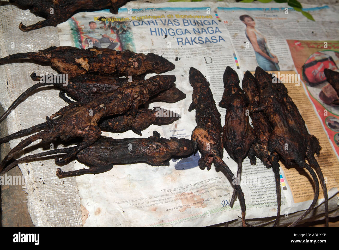 Cooked rats on display at the local market of Tomahon Stock Photo Alamy
