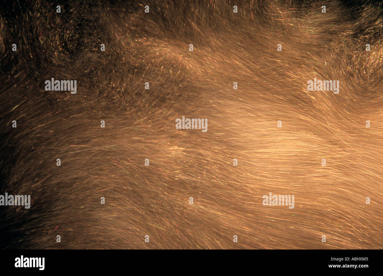 Diamond Dust or Ice Snow crystal flow visualization in freezer chamber Stock Photo