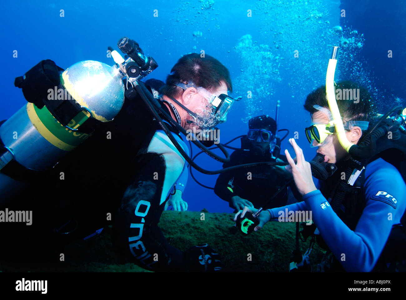 Divers scuba diving on an oil rig in the Gulf of Mexico Stock Photo Alamy