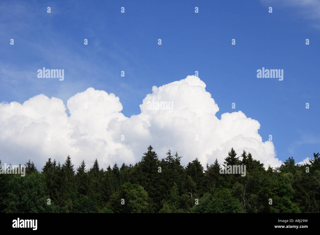 Storm clouds gathering against a blue sky. Photo by Willy Matheisl Stock Photo