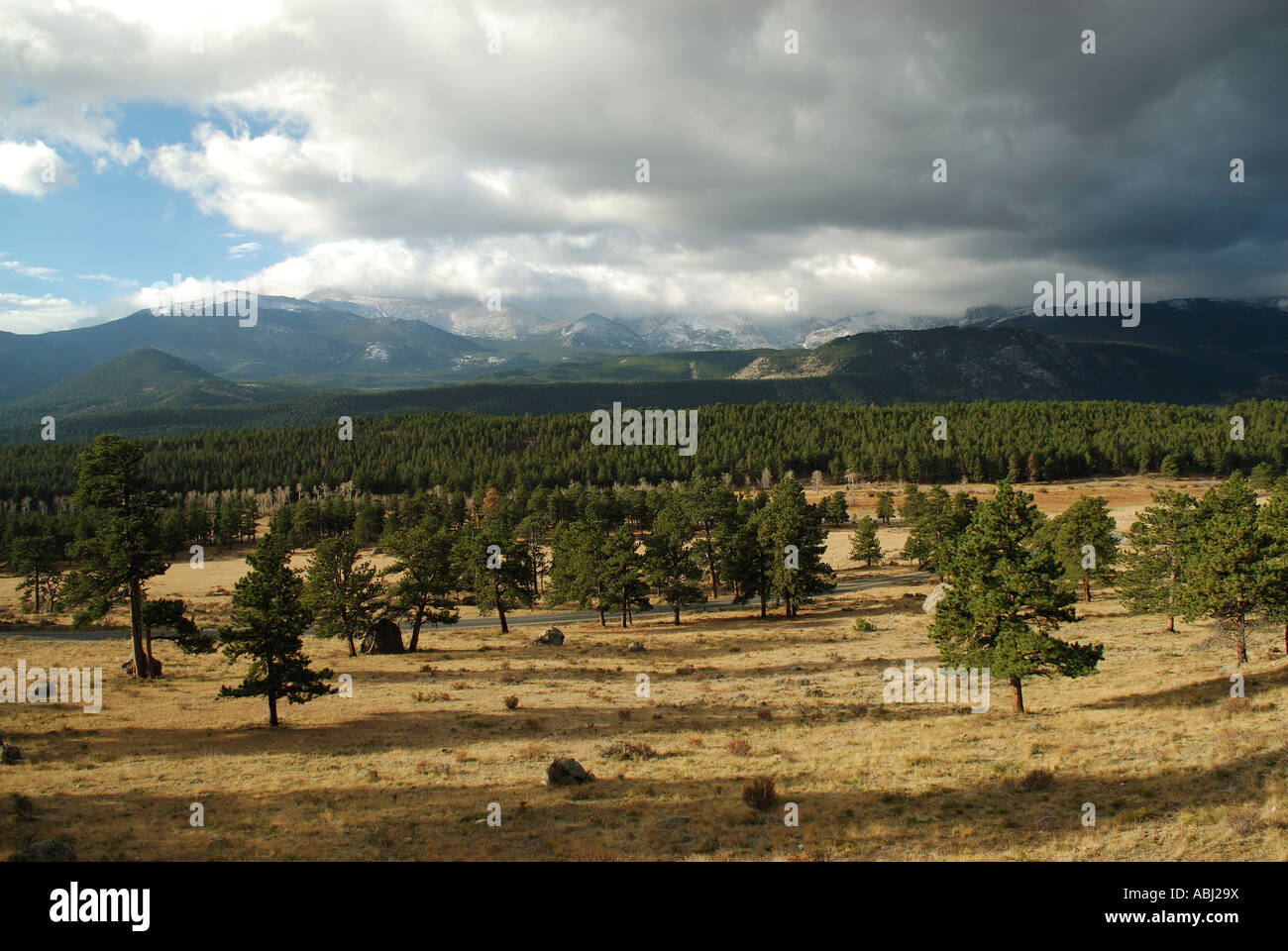 White pines forest state park hi-res stock photography and images - Alamy