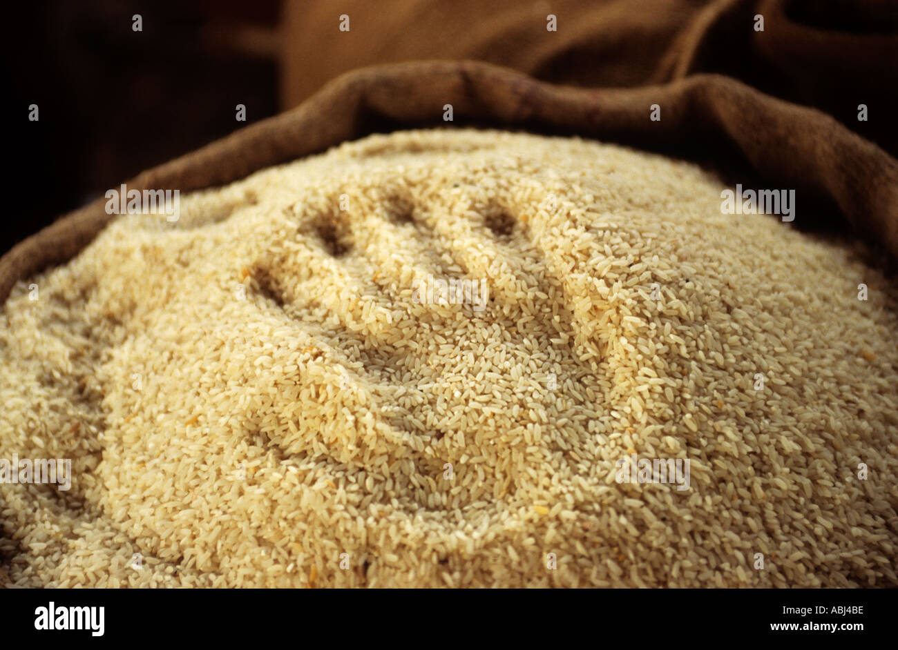 Hand Sack Rice Kigoma, Tanzania; sack of rice with the impression of a hand ...