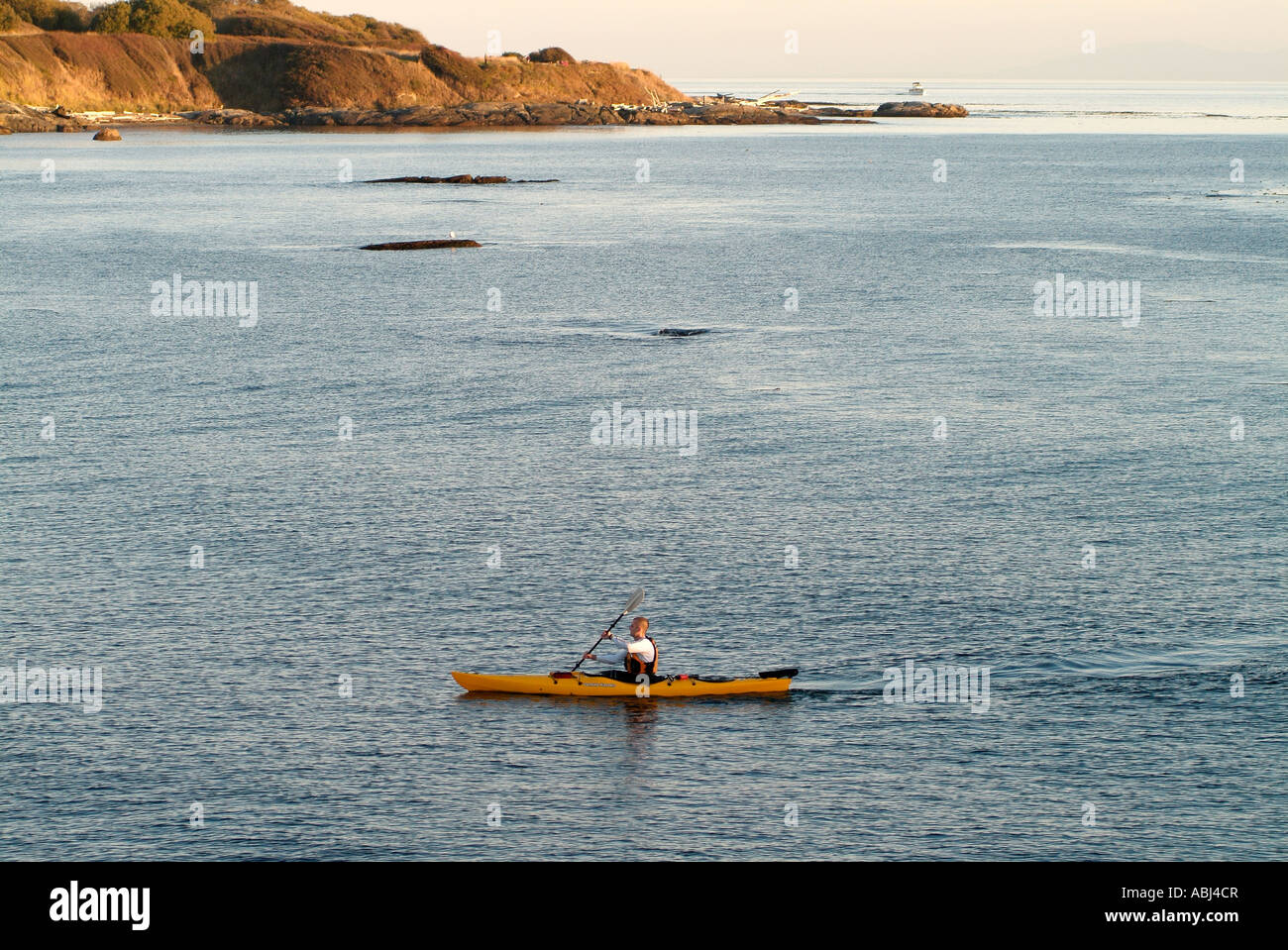 Man rowing along Victoria coast, Vancouver Island Stock Photo - Alamy