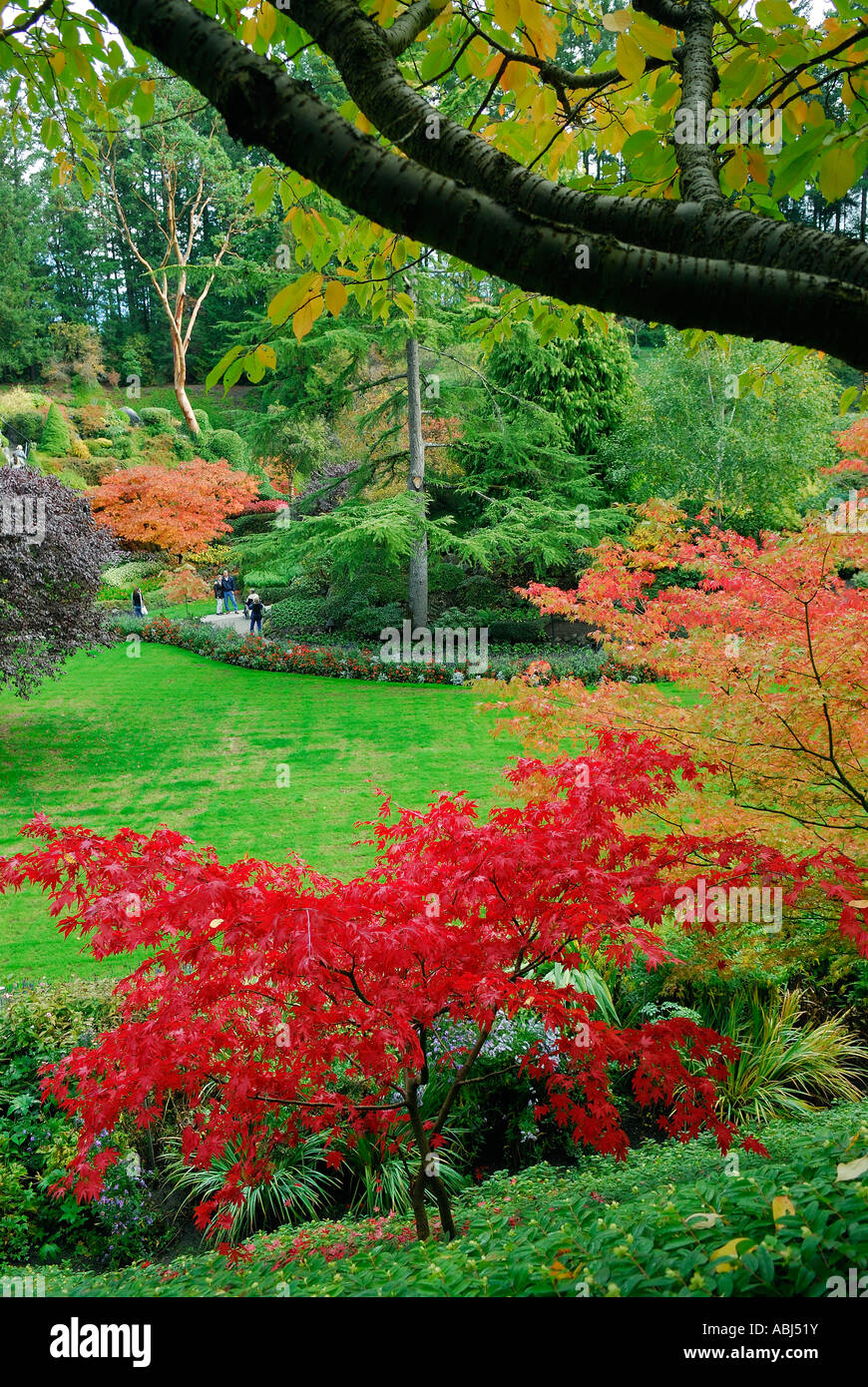 Butchart Gardens Autumn Trees High Resolution Stock Photography and ...