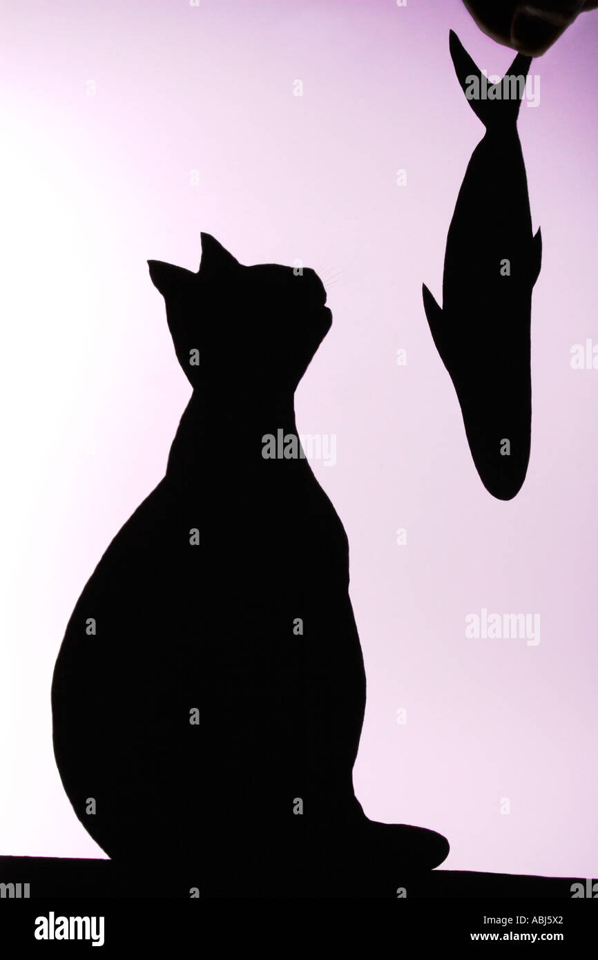 Tempting the Cat Stock Photo