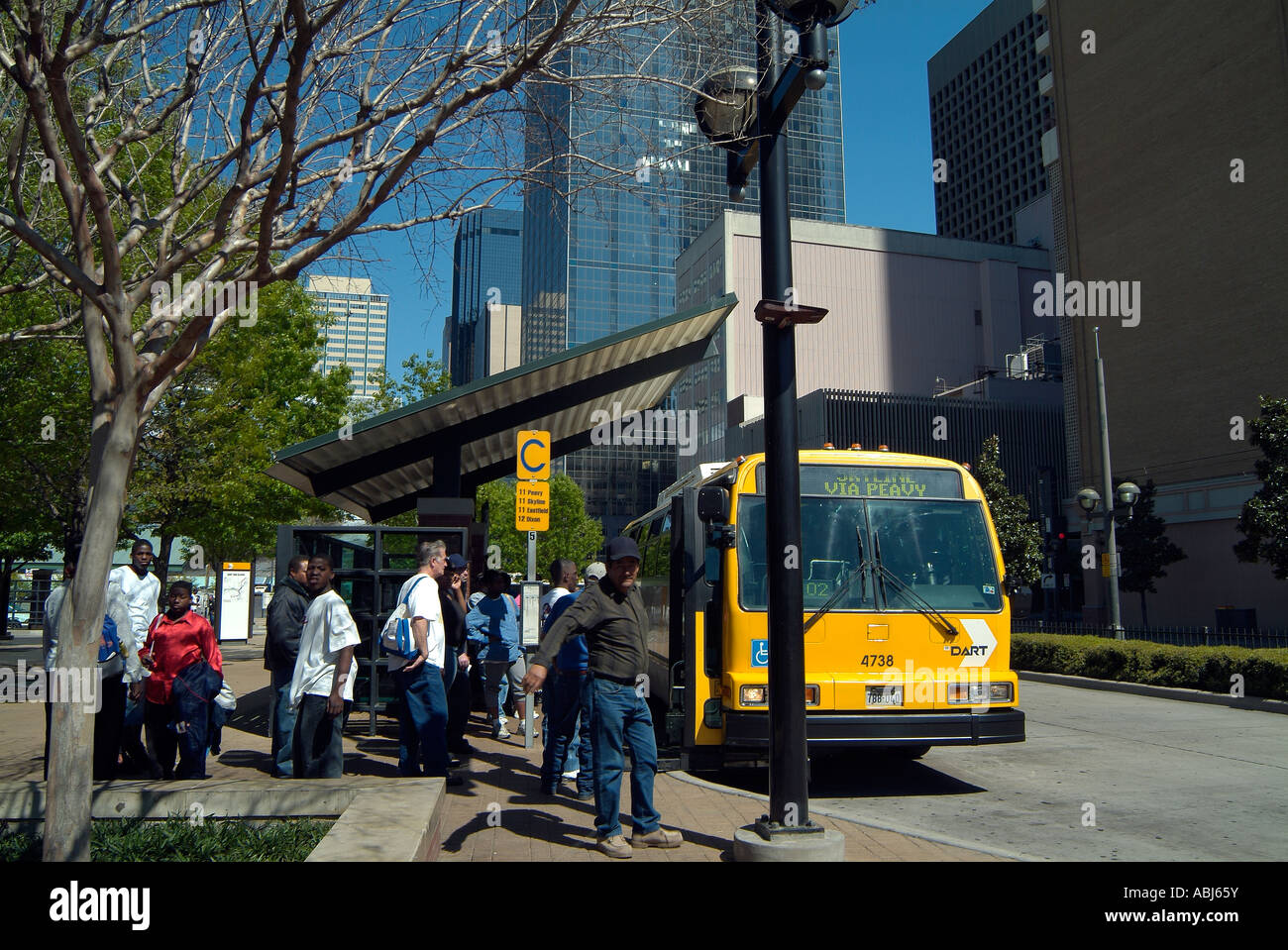 Public bus in downtown of Dallas, Texas Stock Photo Alamy