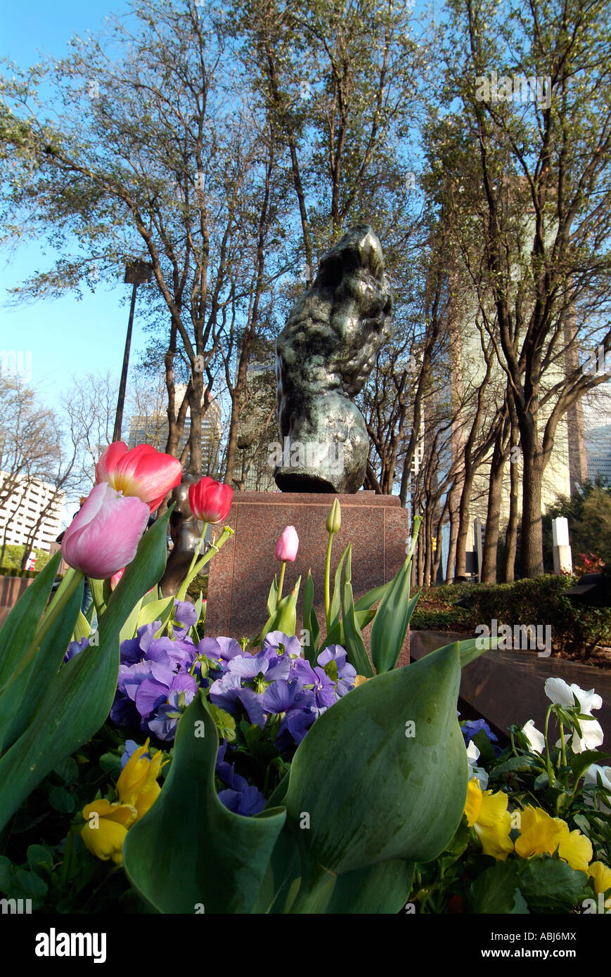 Flowers bed in Dallas downtown, Texas Stock Photo Alamy