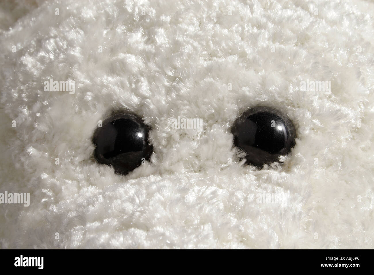 Staring eyes Stock Photo